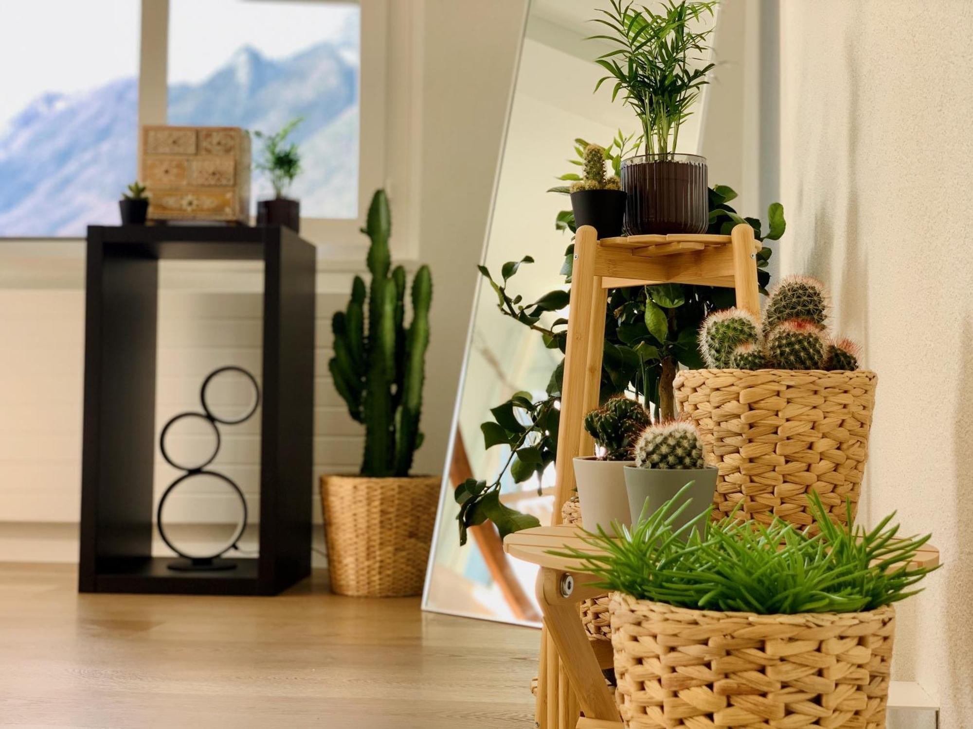 Eva O Wellnessoasis O Montainview O Pizzaoven O Διαμέρισμα Ingenbohl Εξωτερικό φωτογραφία